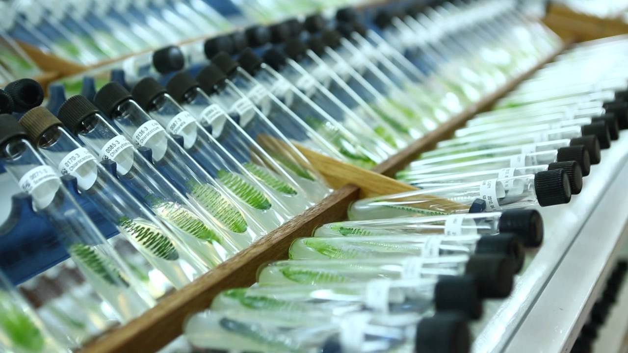 Official promotional video(Pukyong National University, Busan, Korea)