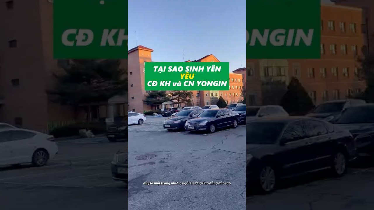 Phỏng Vấn Sinh Viên Trường Cao Đẳng Nghệ Thuật & Khoa Học Yong-in | Chia Sẻ Cuộc Sống Du Học