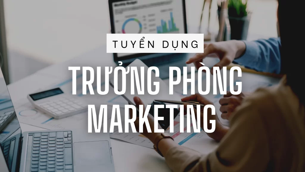 PT SUN tuyển dụng trưởng phòng Marketing