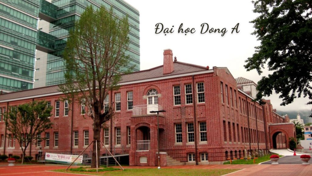 Top 5 Trường Đại học ở Busan Hàn Quốc 4 Đại học Dong-A