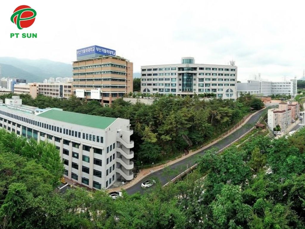 Đại học Catholic Busan