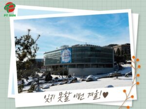 tòa nhà trung tâm Đại học Paichai