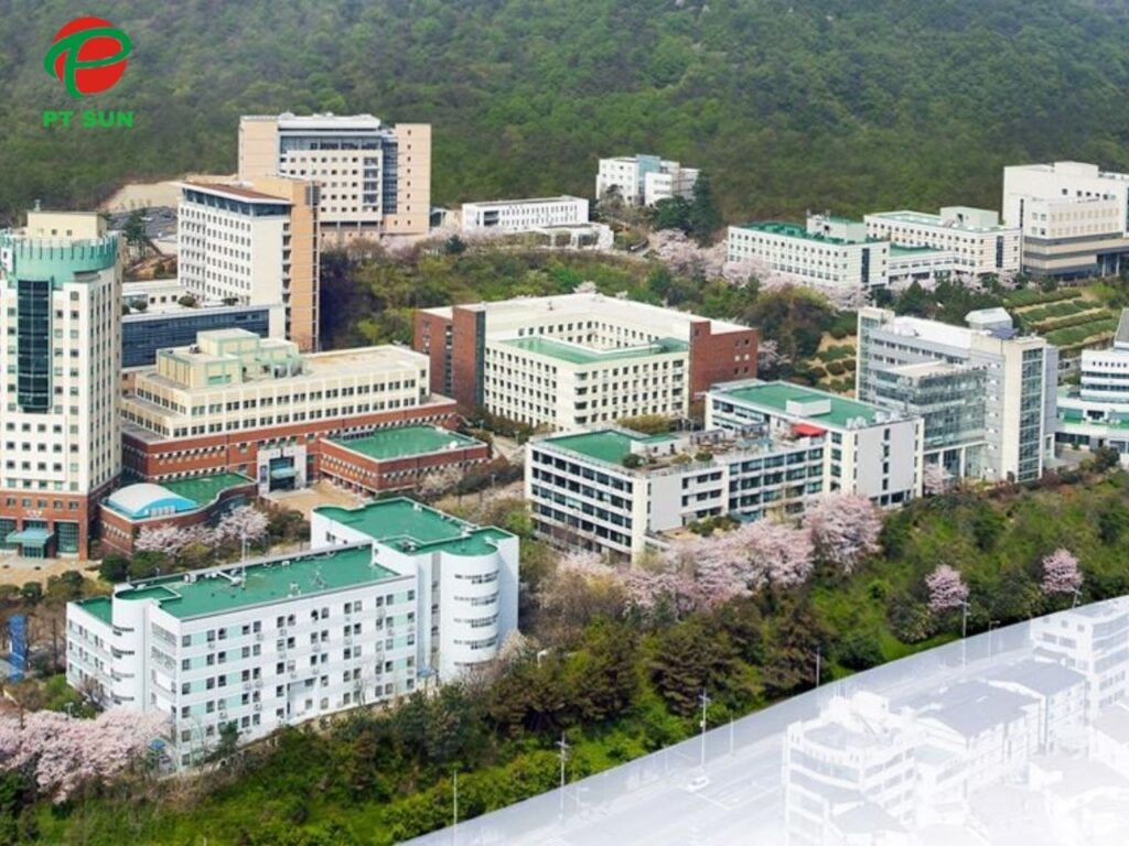 Đại học Inje (Inje University - 인제대학교) Top 1 Đào Tạo Ngành Dược Hàn Quốc 1 Đại học Inje