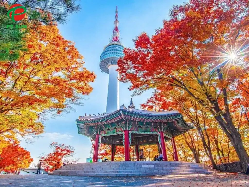 Mùa Đông ở Hàn Quốc Như Thế Nào? Khám Phá Khí Hậu và Lưu Ý Cho Du Học Sinh Việt Nam 2 khí hậu Hàn Quốc