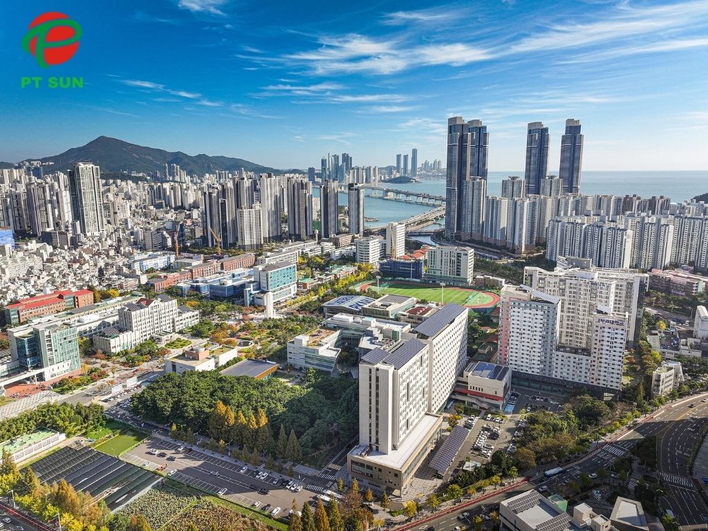 Đại học Quốc gia Pukyong