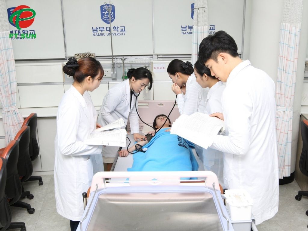 Đại Học Nambu (남부대학교): Nền Tảng Giáo Dục Sáng Tạo Tại Gwangju 3 Khoa y tế đại học Nambu