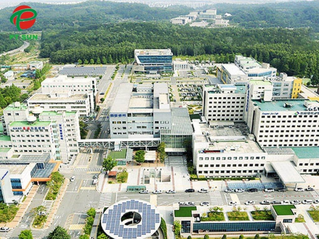 Top 10 Trường Đại Học Hàn Quốc Học Phí Rẻ Nhất Chất Lượng Tốt Nhất 2025 5 Jeonbuk