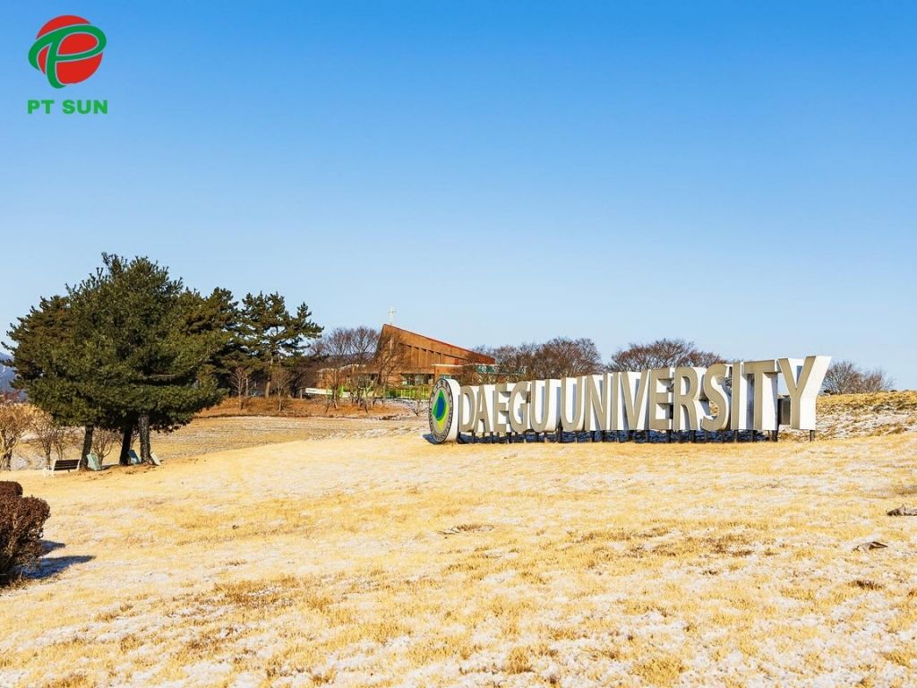 Đại học Daegu