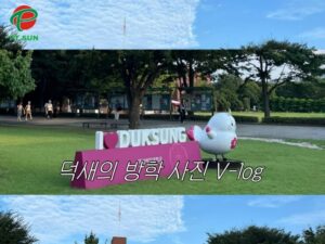 Đại học Duksung