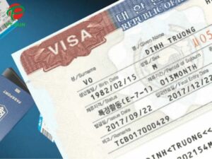 visa e7