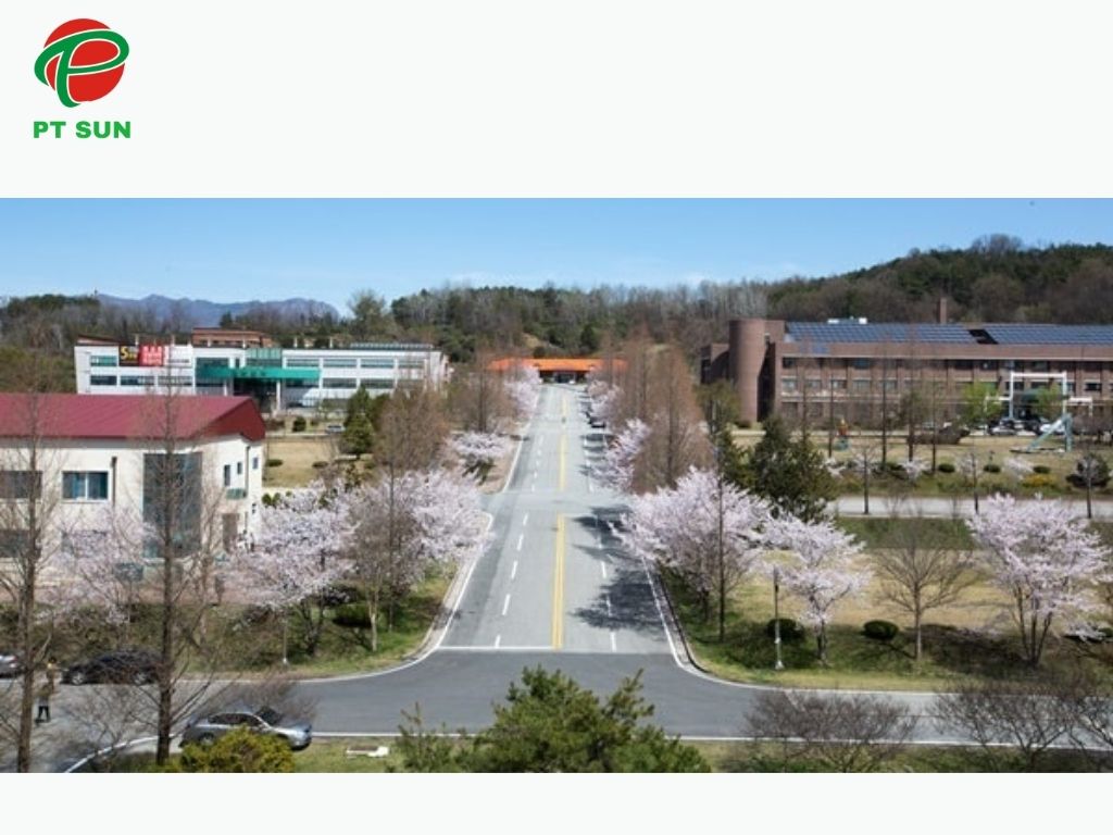 Đại Học Tỉnh Jeonnam