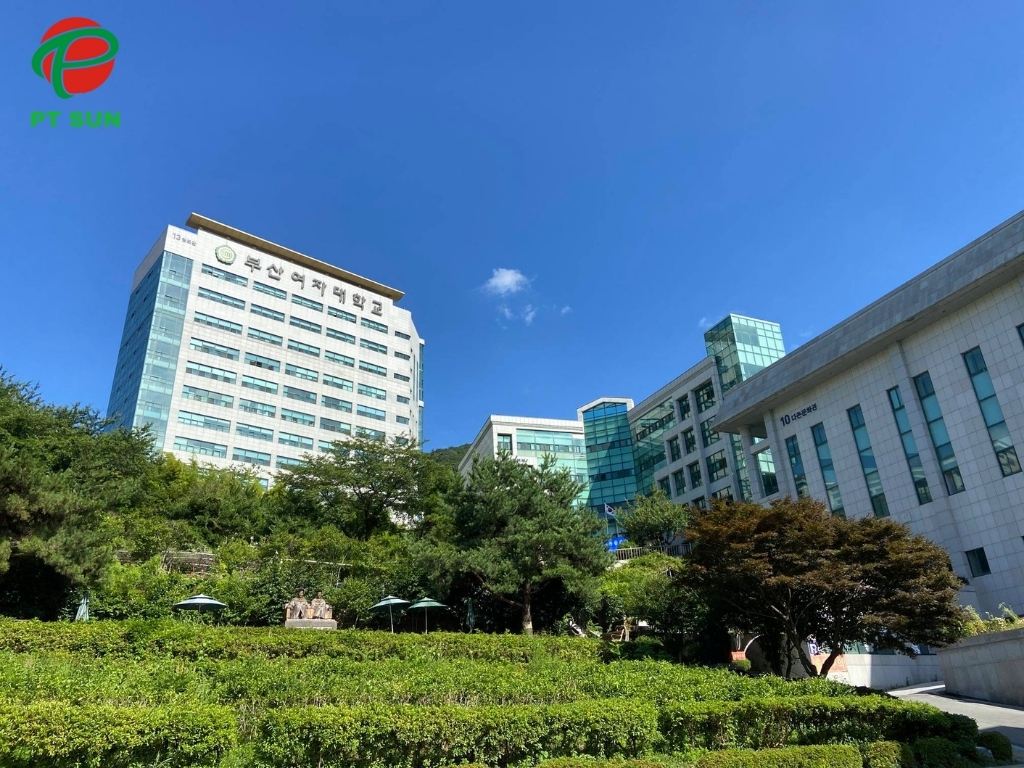 Cao Đẳng Nữ Sinh Busan