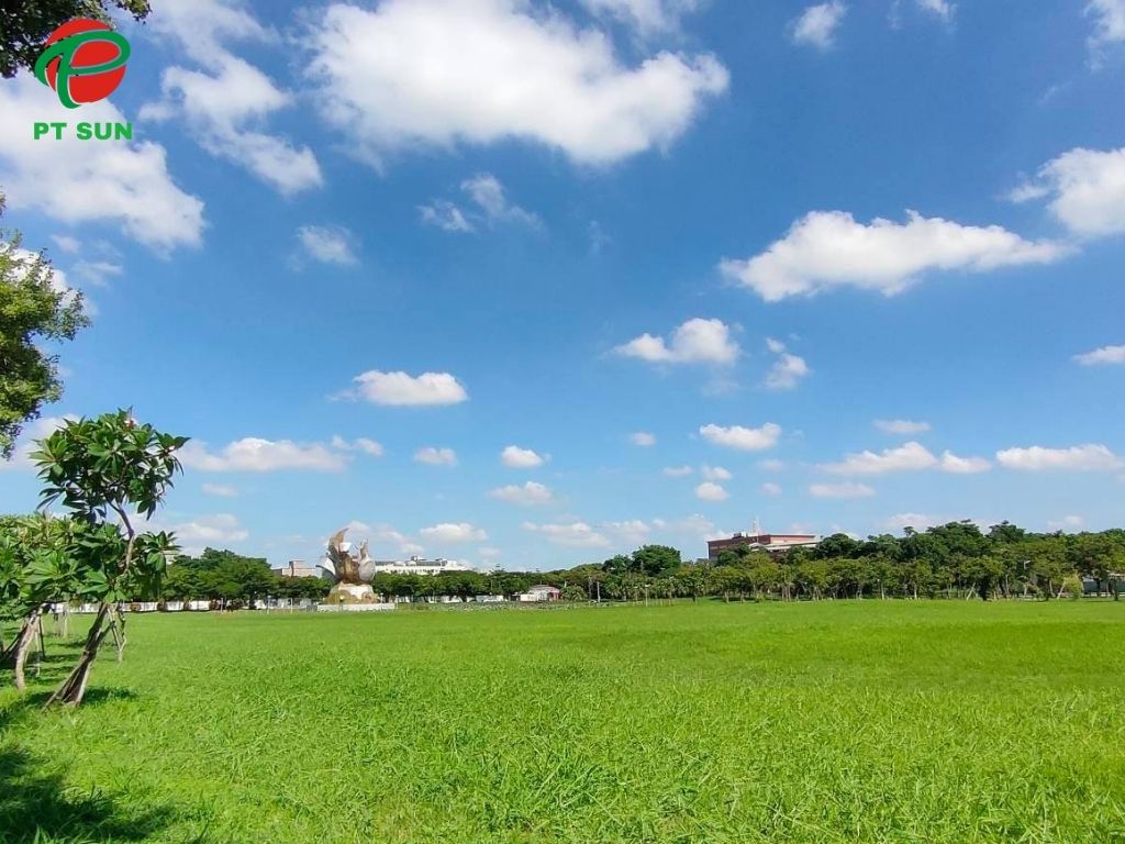 Sân bóng Đại học Khoa học kỹ thuật Văn Lâm