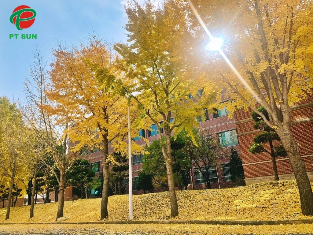 Đại học Quốc  gia Kyungpook