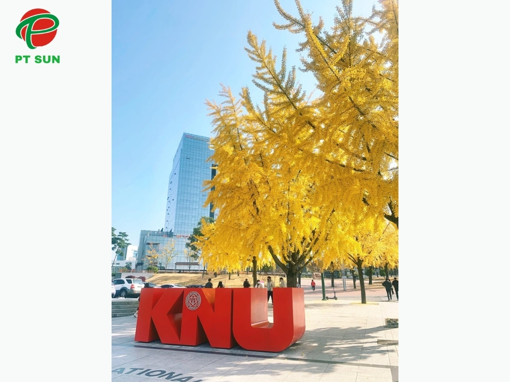 Đại Học Quốc Gia Kyungpook