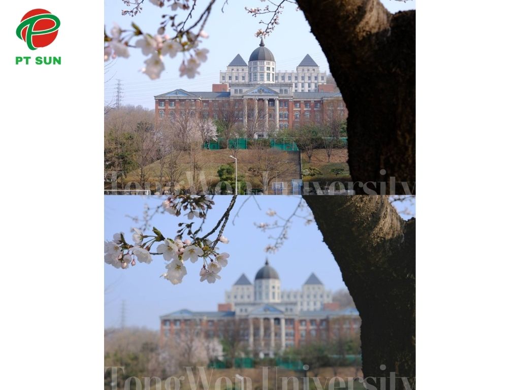 Khuôn viên Đại học Tongwon