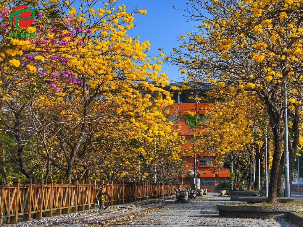 Khuôn viên Đại Học Công Nghệ Nam Khai