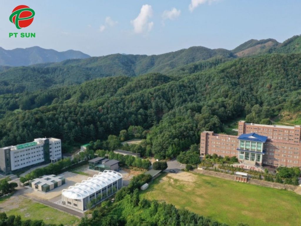 Đại Học Songgok – Trường Đại Học Tư Thục Chuyên Sâu Đào Tạo Thực Tiễn Tại Gangwon: 2 Khuôn viên Đại Học Songgok