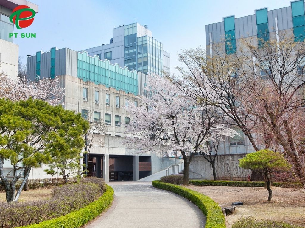 Đại Học Sungkonghoe: Trường Đại Học Anglican Đầu Tiên Tại Hàn Quốc 2 Đại Học Sungkonghoe