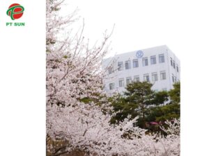 Đại học Joongbu