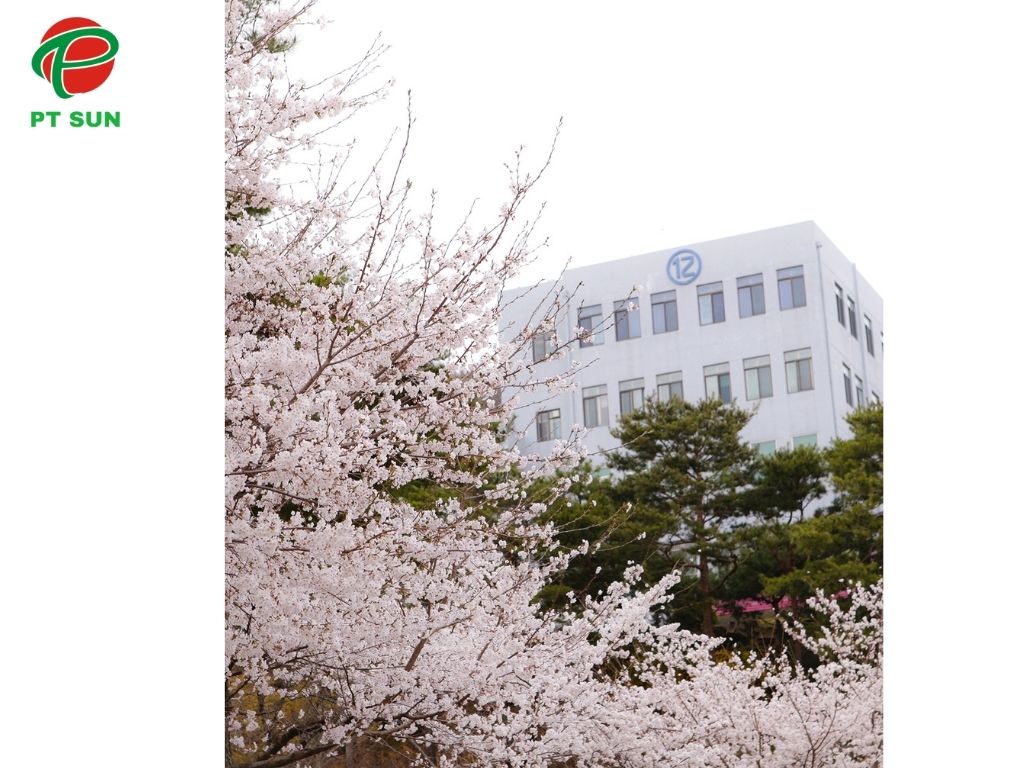 Đại học Joongbu