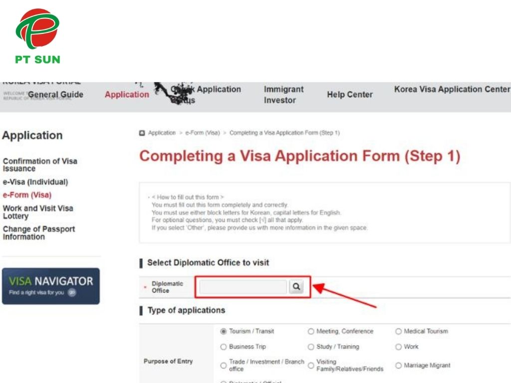 E-visa
