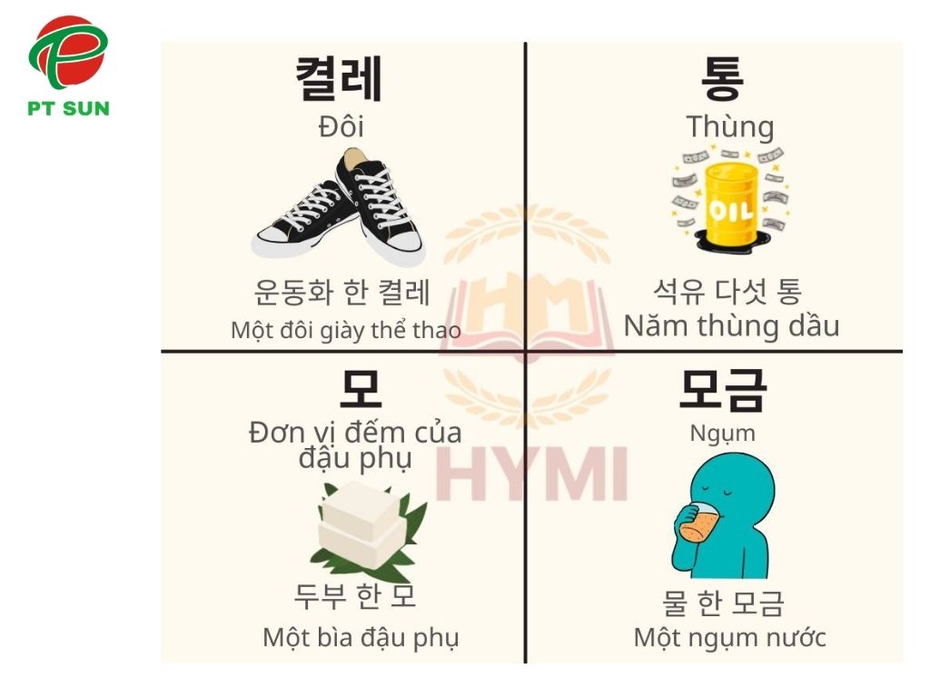 cách dùng lượng từ
