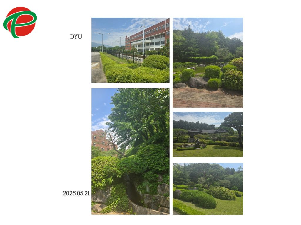 khuôn viên Đại Học Dongyan